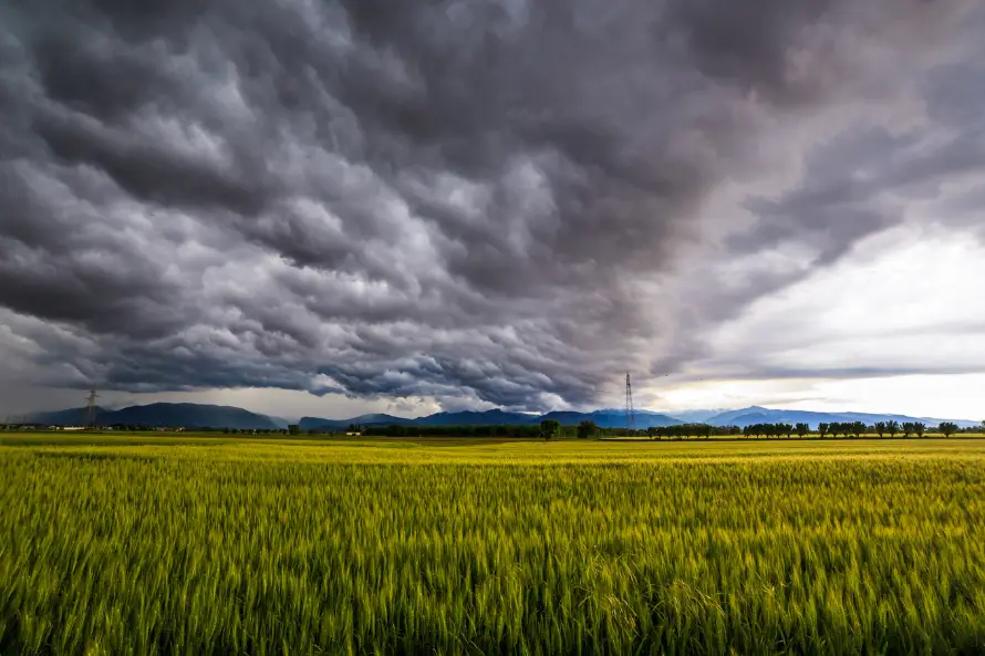 Image en tete page FDN 890x593 - Fabre de Nombel Assurances catastrophes naturelles